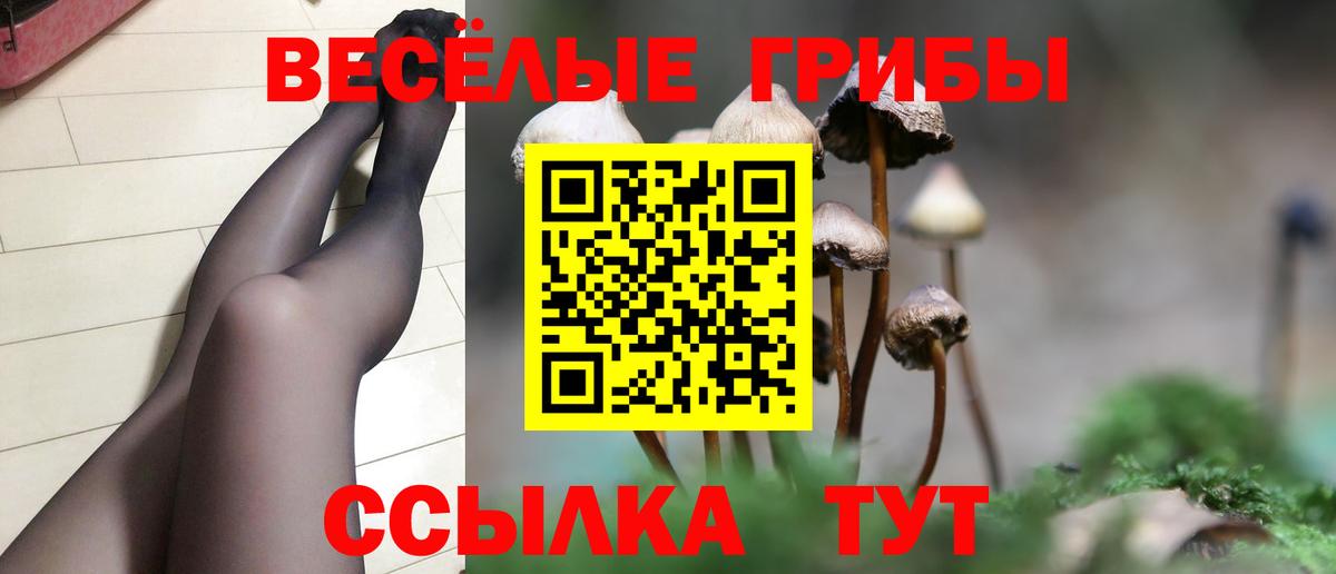 Псилоцибиновые грибы GOLDEN TEACHER  Вход с VPN  Ялта 